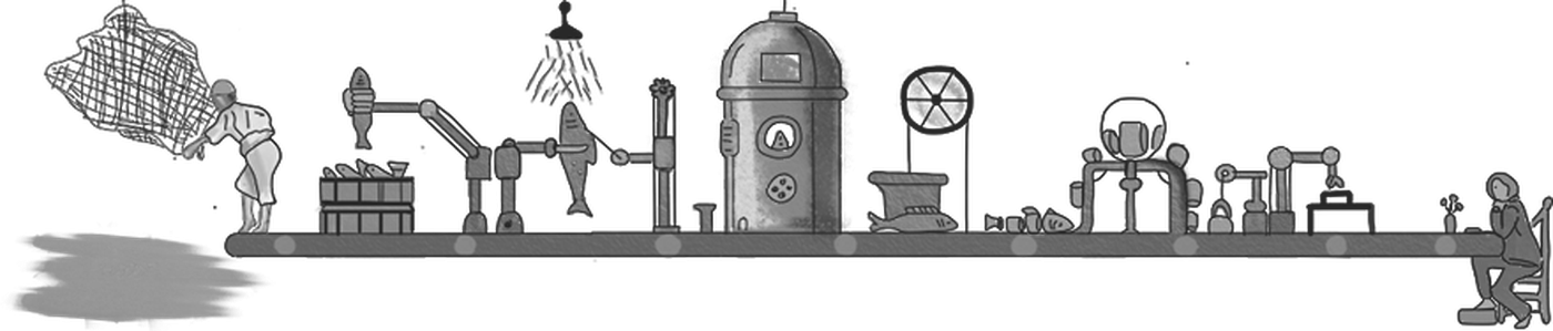 Illustration of the Fish-N-Fish process: netting live fish, crating, filleting, washing, machine processing, packing and finally a plated meal